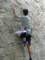 dscf0061_small.jpg