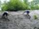 dscf0065_small.jpg