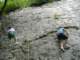 dscf0089_small.jpg
