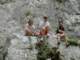 dscf0102_small.jpg