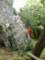 dscf0108_small.jpg