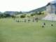 dscf0026_small.jpg