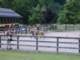 dscf0079_small.jpg