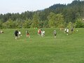 IMG_0026