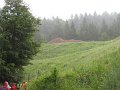 IMG_0032_renamed_21807