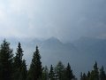IMG_0050_renamed_6092