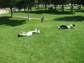 IMG_0051