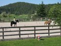 IMG_3070