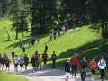 IMG_6017