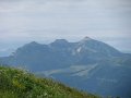 IMG_6050