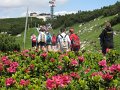 IMG_6075