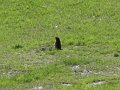Img_6032