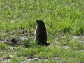 Img_6033