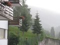 IMG_2003