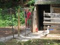 IMG_3002