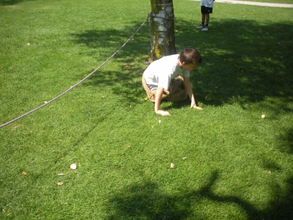 DSCN5887.jpg