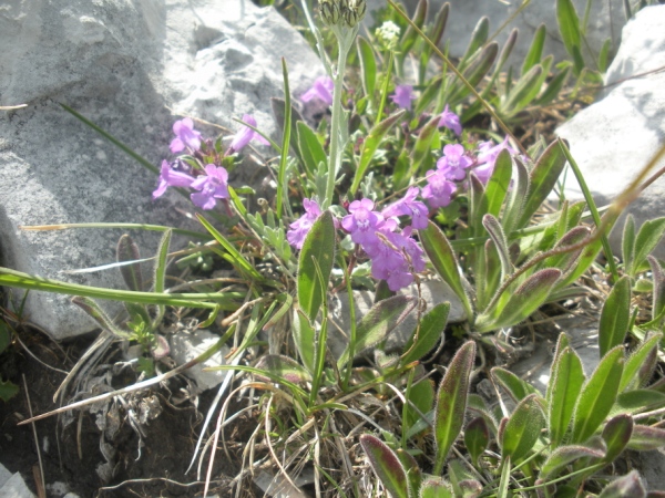 DSCN6140.jpg