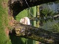 DSCN5881