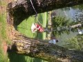 DSCN5882