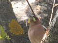 DSCN6009