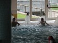 DSCN6027