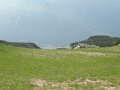 DSCN6131