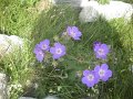 DSCN6142