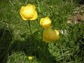 DSCN6143