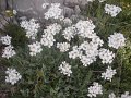 DSCN6146