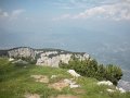 DSCN6154