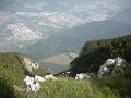 DSCN6161