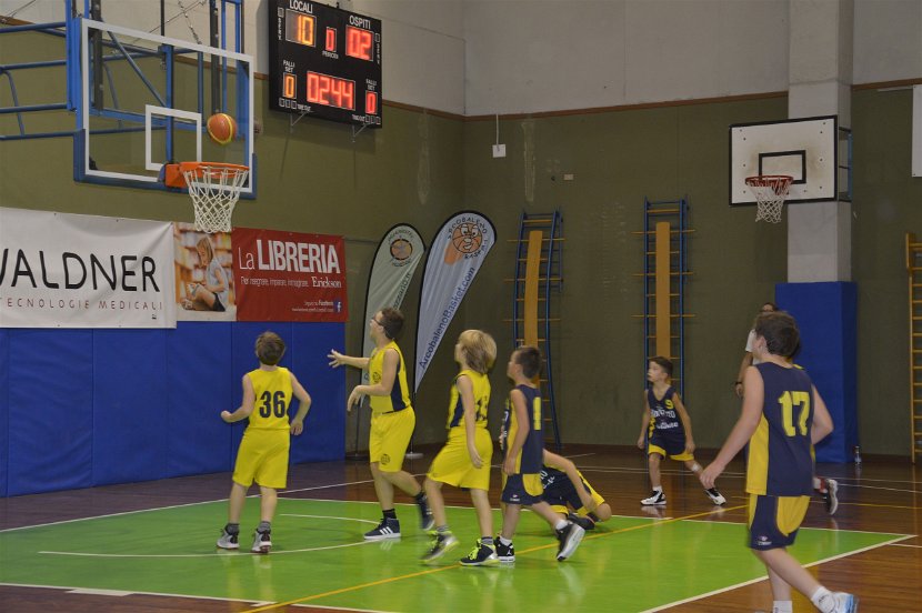 TsL 17 Fede (12)