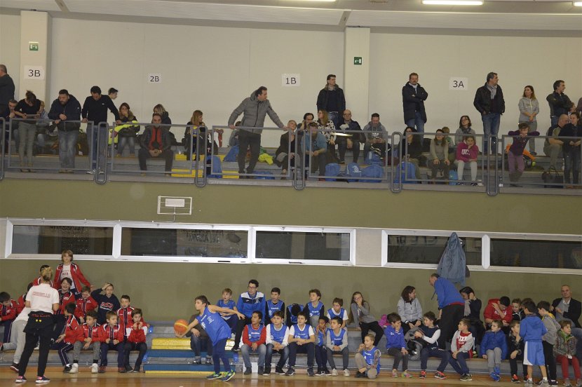 TsL 17 Fede (15)
