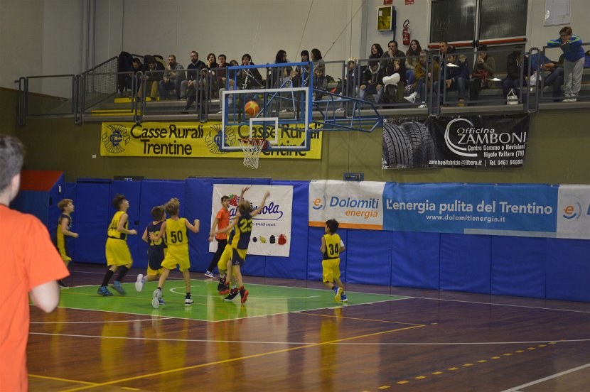 TsL 17 Fede (2)