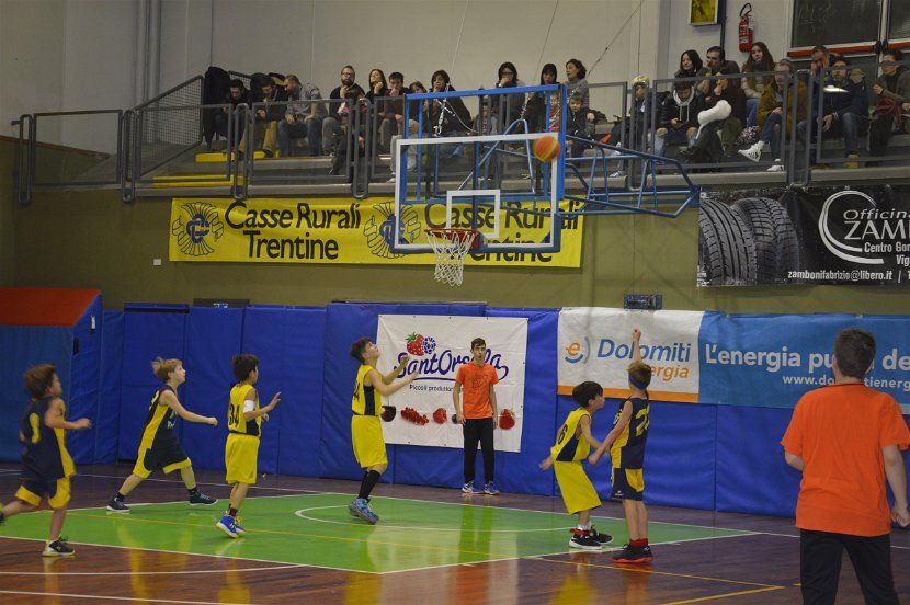 TsL 17 Fede (4)